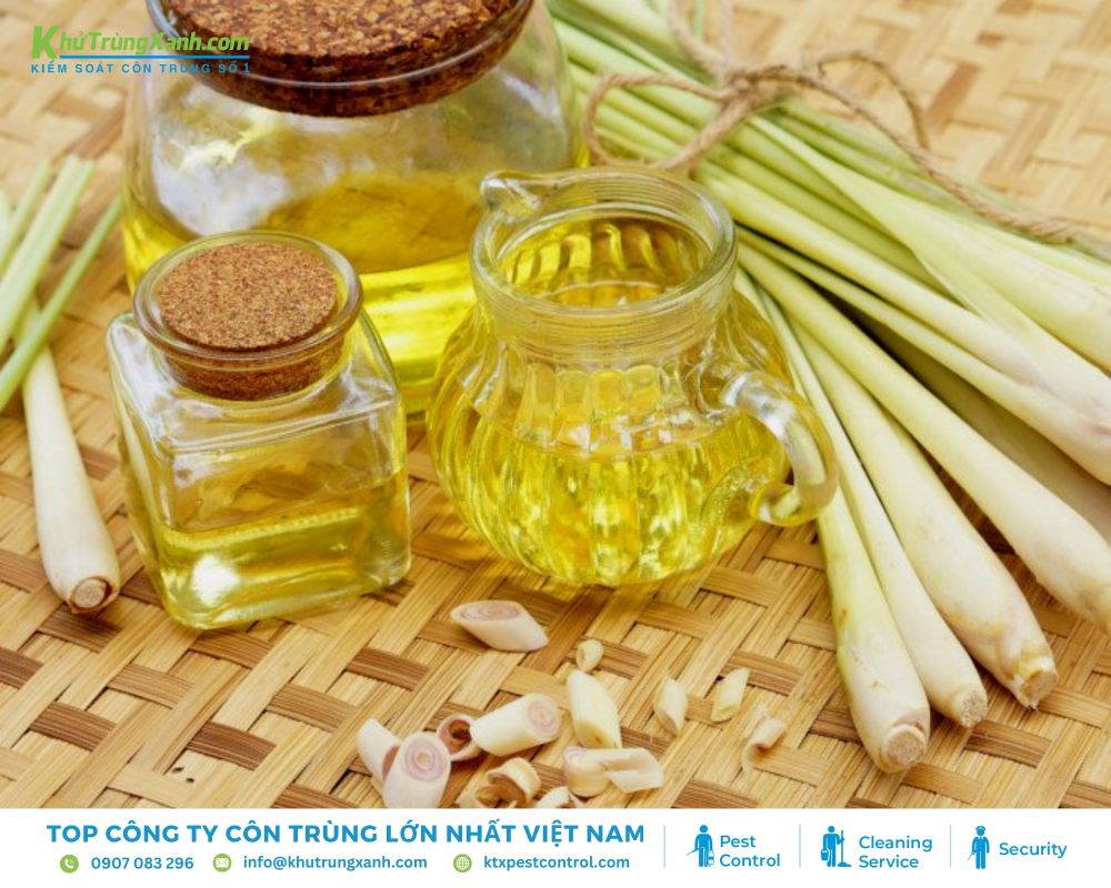 Cho 10-15 giọt tinh dầu sả cùng 500ml nước để tạo dung dịch diệt rệp giường