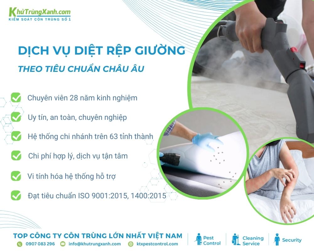 Dịch vụ diệt rệp giường tại Diệt côn trùng KTX