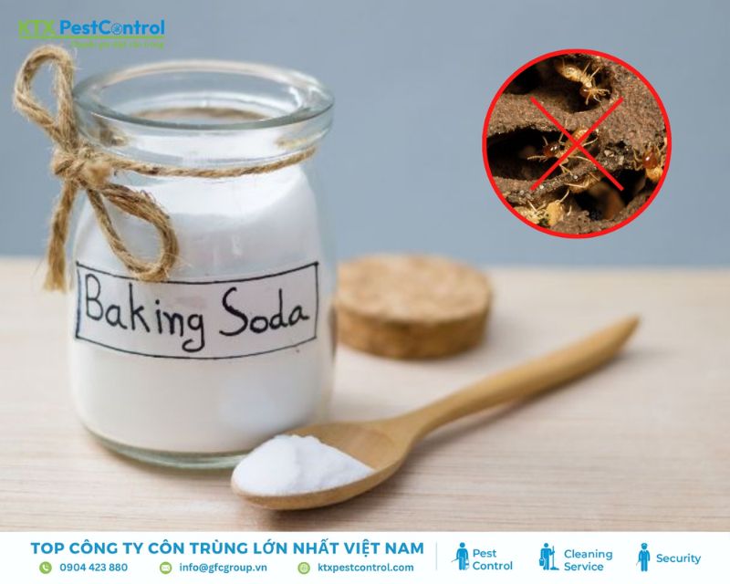 cách diệt mối bằng baking soda dễ làm