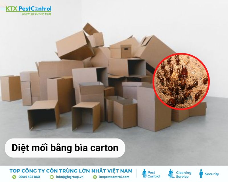 Xử lý mối gỗ trong tường nhà bằng bìa carton