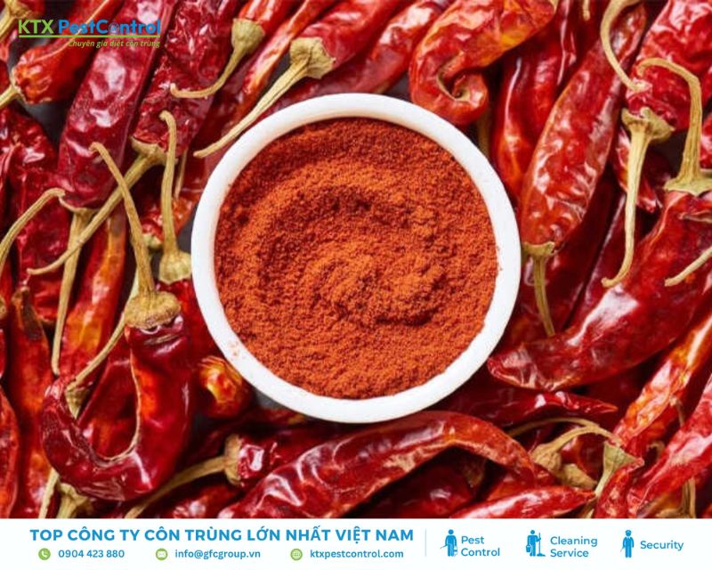 Cách trị mối tại nhà bằng ớt cayenne