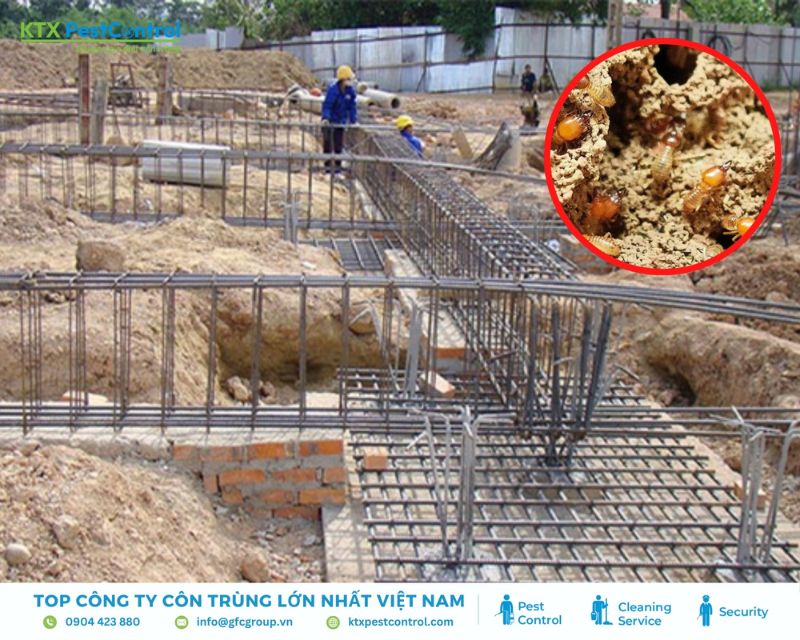 phương pháp diệt mối hiệu quả quanh móng nhà