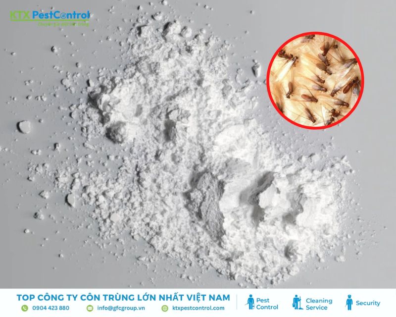 Hàn the giúp xử lý mối dưới nền đất