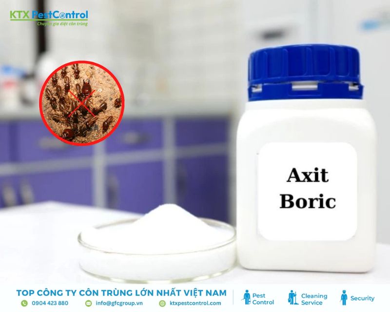 cách diệt mối trong tường nhà bằng axit boric