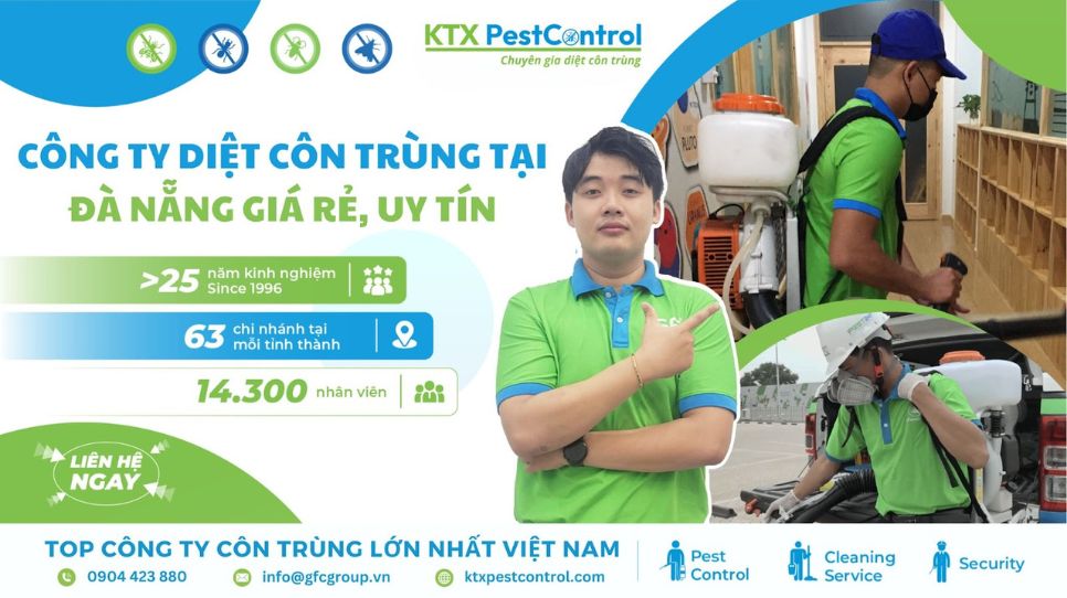 công ty diệt côn trùng Đà Nẵng tại nhà tận gốc, uy tín