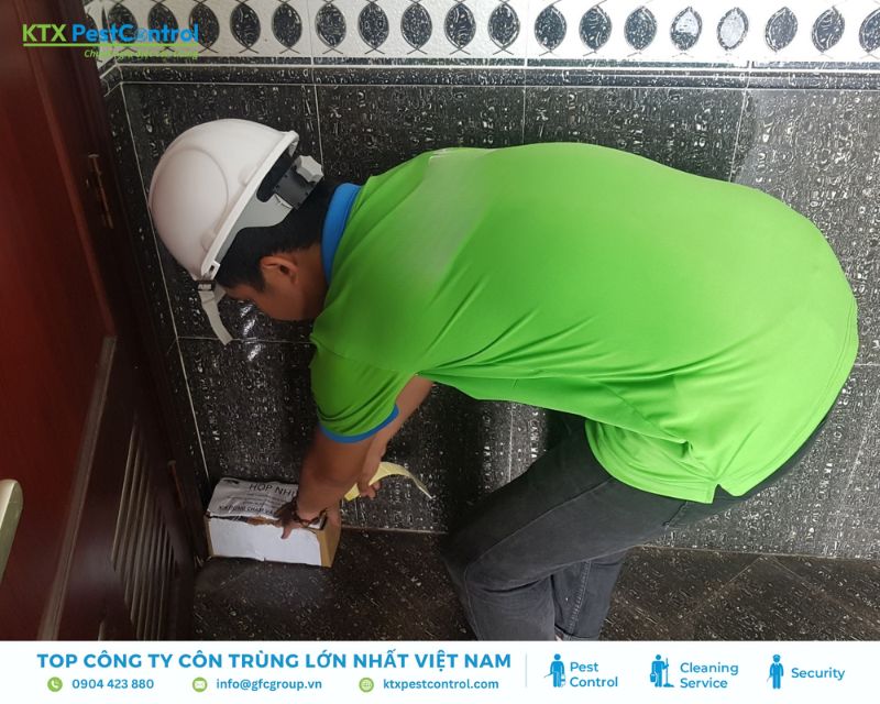Kỹ thuật viên triển khai đặt hộp nhử mối tại nhà Gò Vấp
