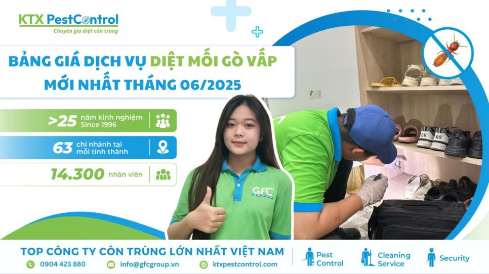 Bảng giá dịch vụ diệt mối quận Gò Vấp mới nhất