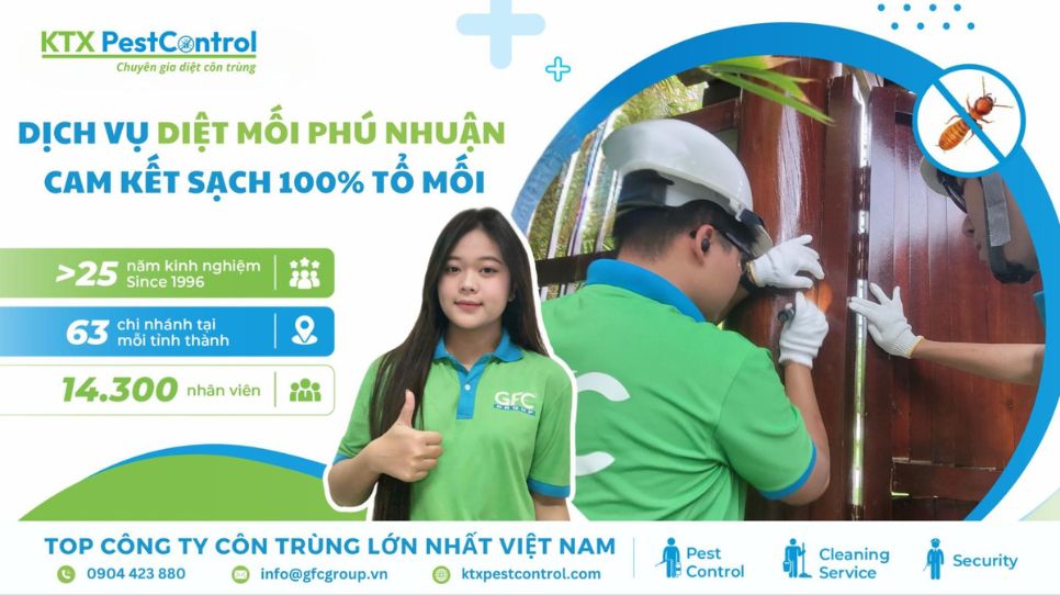 dịch vụ diệt mối Phú Nhuận an toàn, hiệu quả