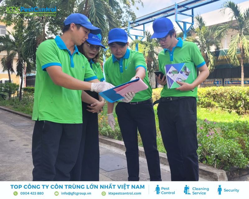 KTX có 20 năm kinh nghiệm trong lĩnh vực diệt mối quận 3