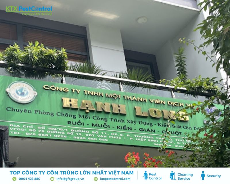 Công ty kiểm soát mối quận 3 Hạnh Long