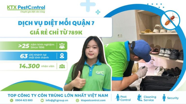 Dịch vụ diệt mối Quận 7 giá rẻ chỉ từ 798K