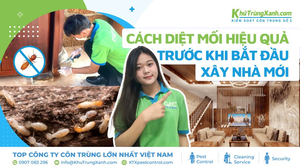 diệt mối trước khi xây nhà