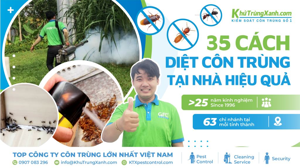 cách diệt côn trùng tại nhà hiệu quả