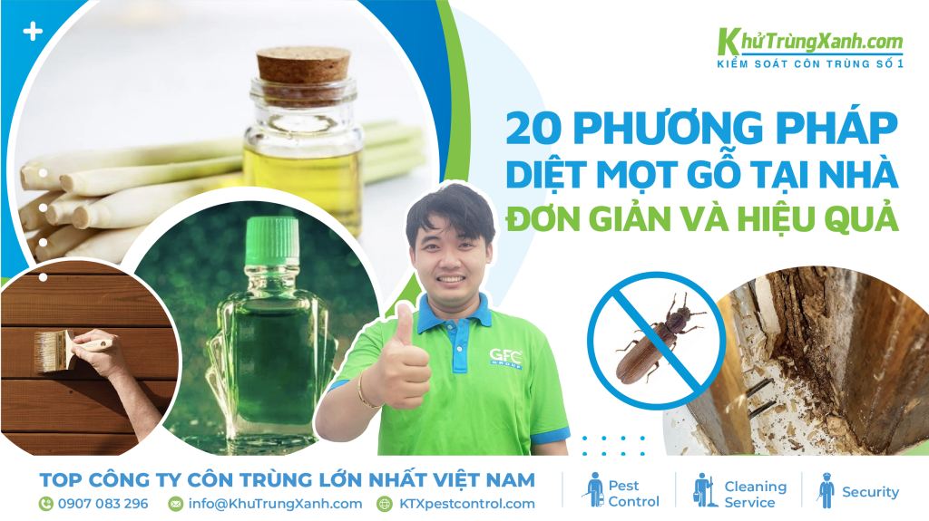 cách diệt mọt gỗ