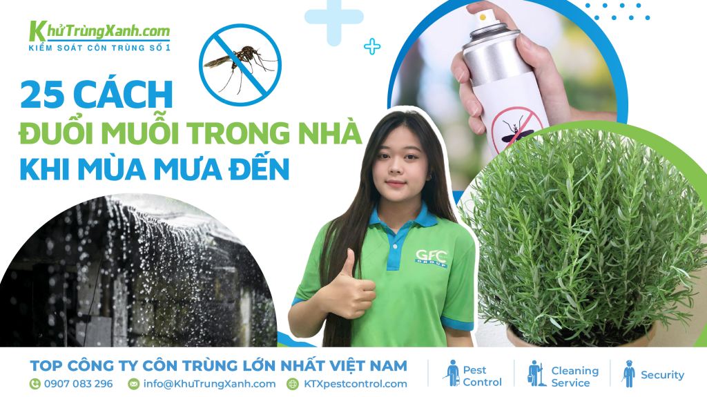 cách đuổi muỗi