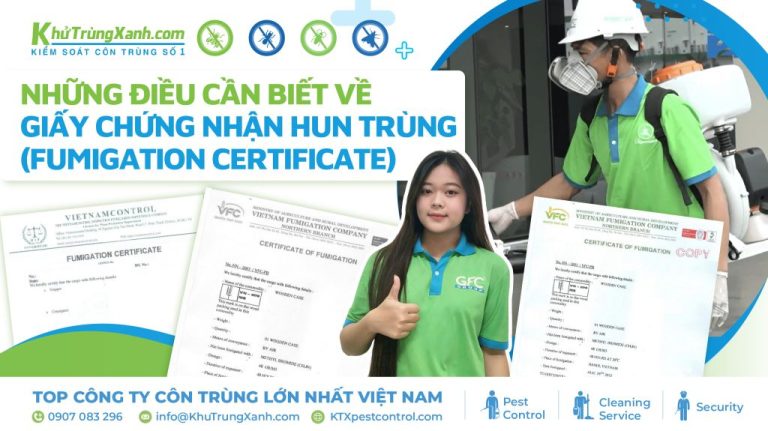 Những điều cần biết về giấy chứng nhận hun trùng (Fumigation Certificate)