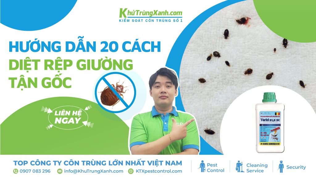 hướng dẫn diệt rệp giường