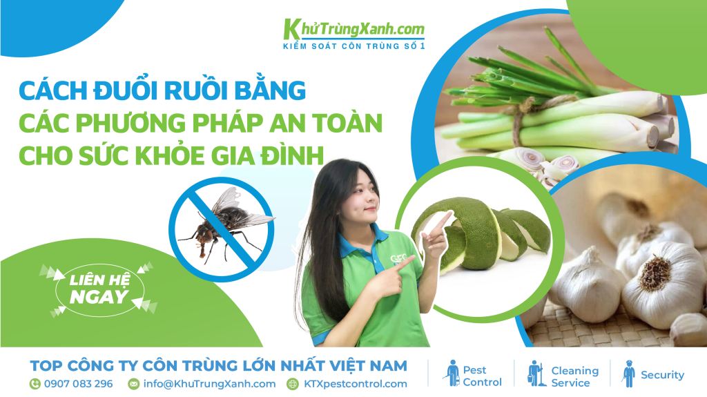 cách đuổi ruồi
