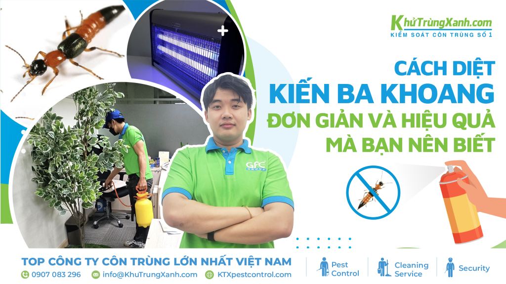 cách diệt kiến ba khoang