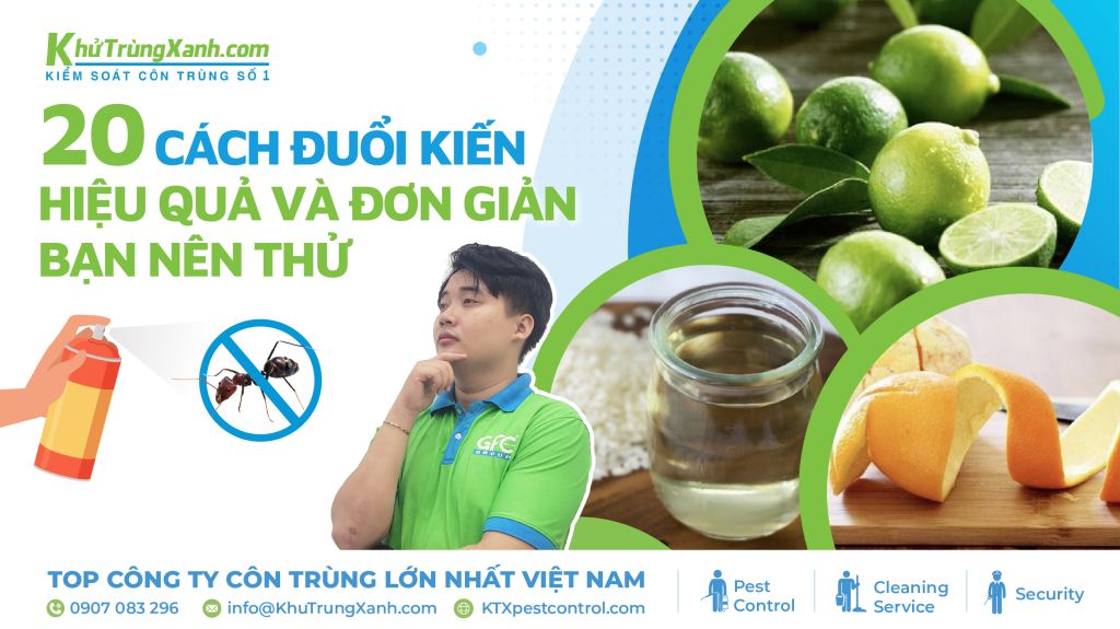 cách đuổi kiến