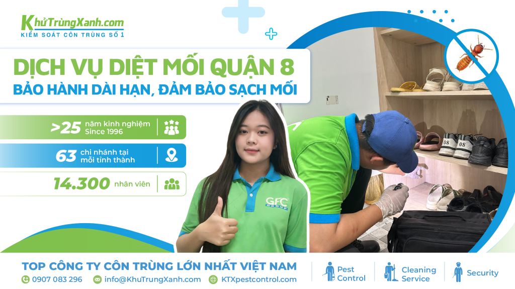 dịch vụ diệt mối quận 8