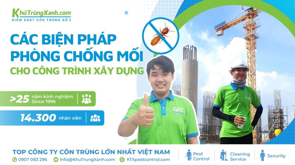phòng chống mối công trình