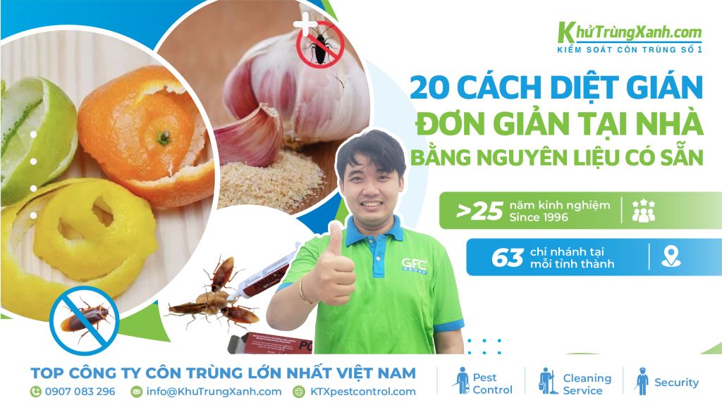 cách diệt gián
