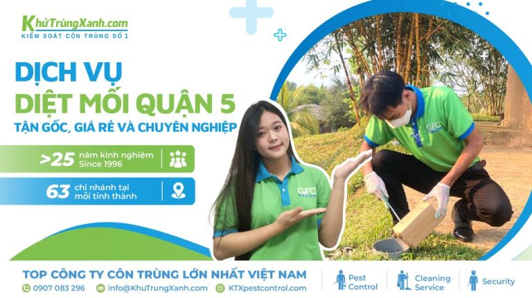 Dịch vụ diệt mối Quận 5 tận gốc, giá rẻ và chuyên nghiệp