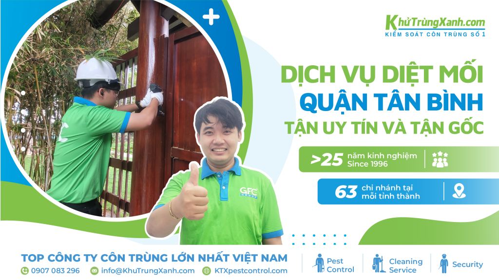 dịch vụ diệt mối tân bình