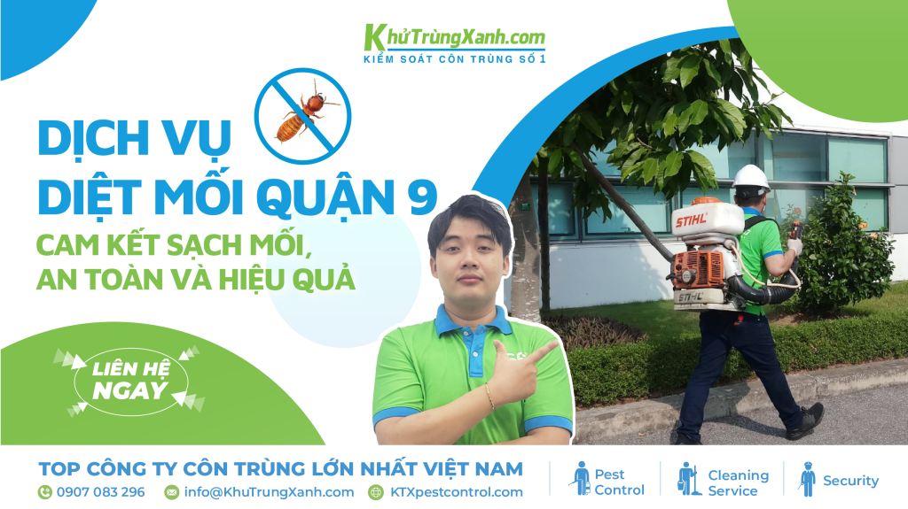 dịch vụ diệt mối quận 9
