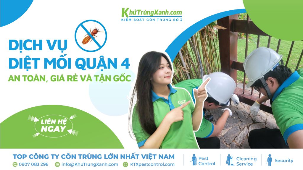 dịch vụ diệt mối quận 4