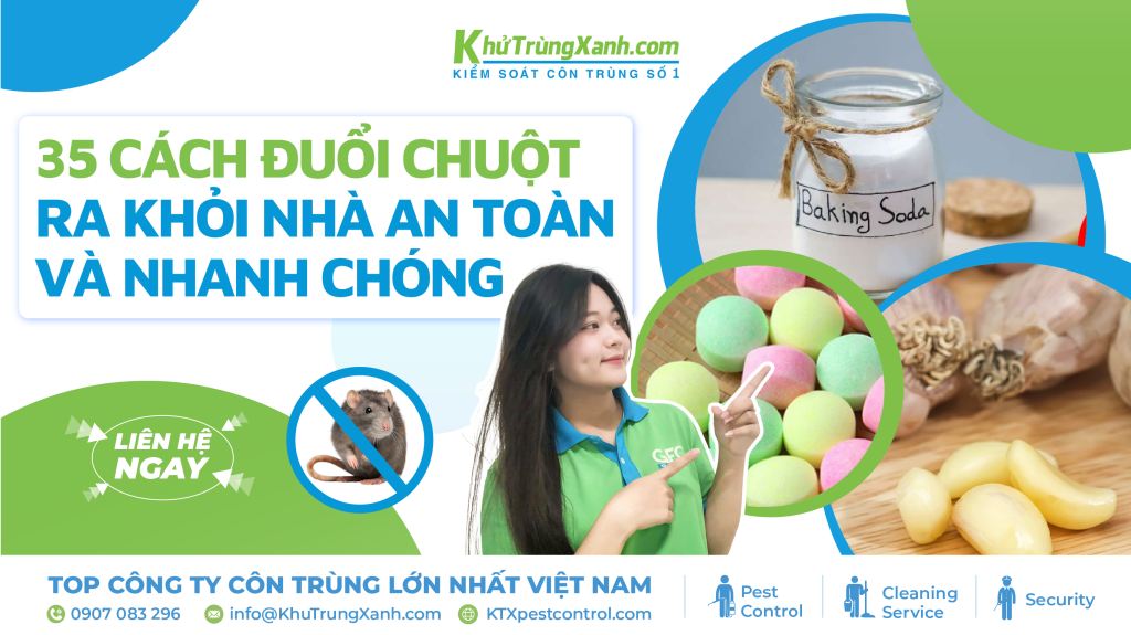 cách đuổi chuột