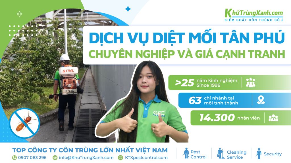 dịch vụ diệt mối tân phú