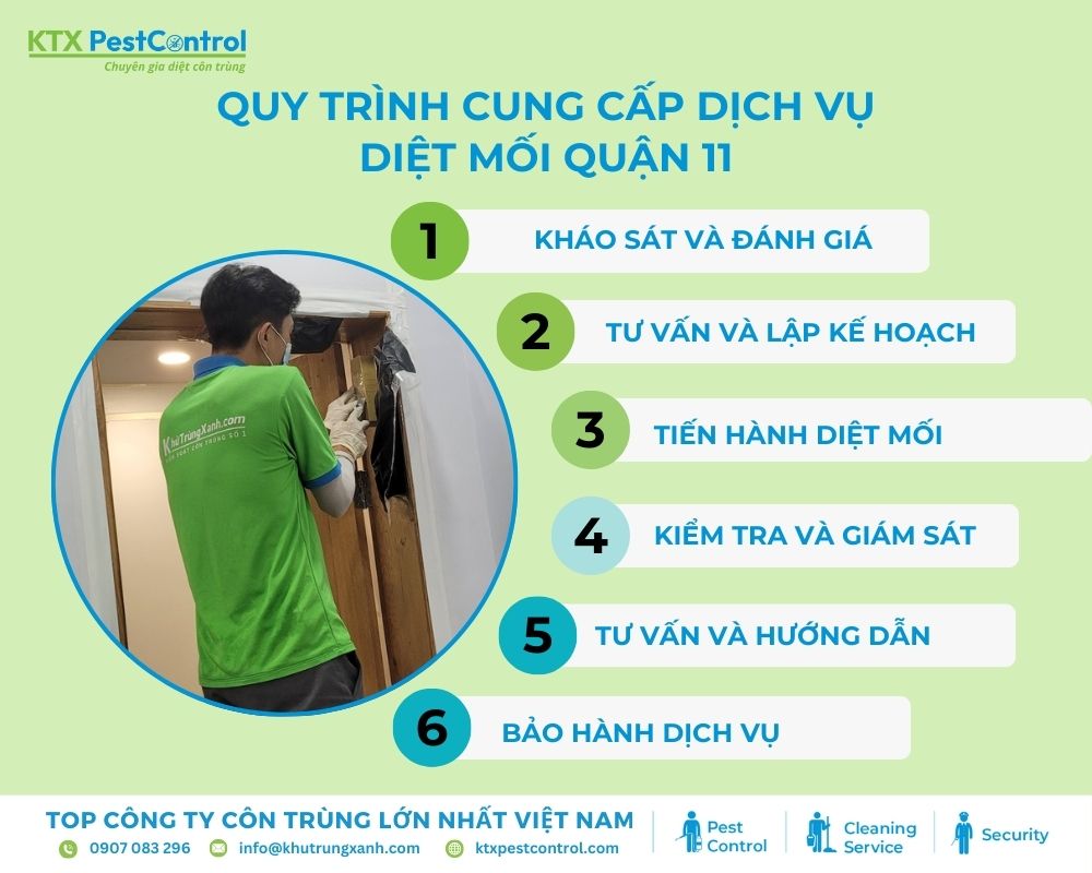 Diệt côn trùng KTX cung cấp quy trình dịch vụ diệt mối quận 11