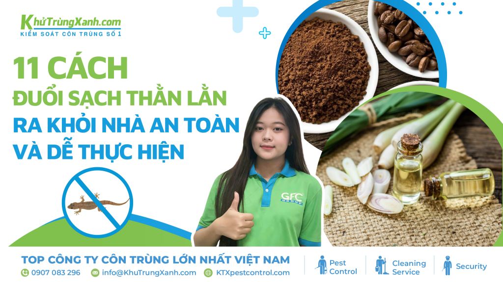 cách đuổi thằn lằn