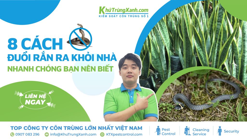 cách đuổi rắn