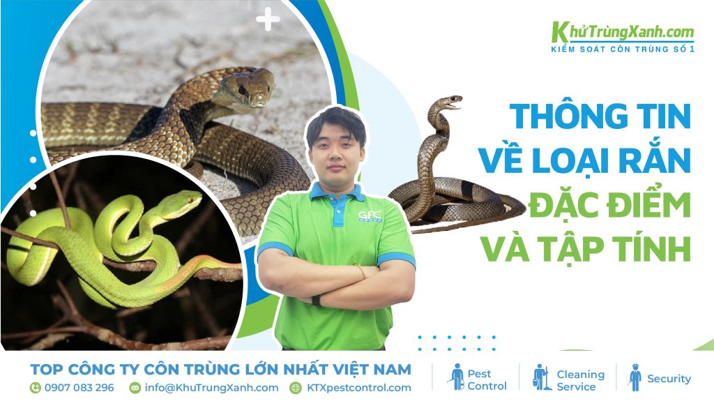 thông tin khoa học về loài rắn