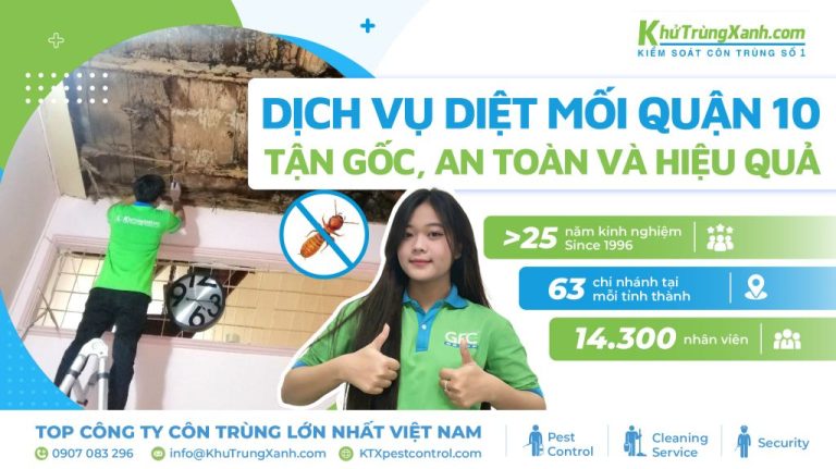 Dịch vụ diệt mối Quận 10 uy tín và chuyên nghiệp