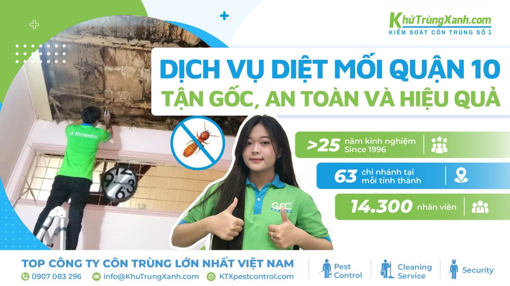 dịch vụ diệt mối quận 10
