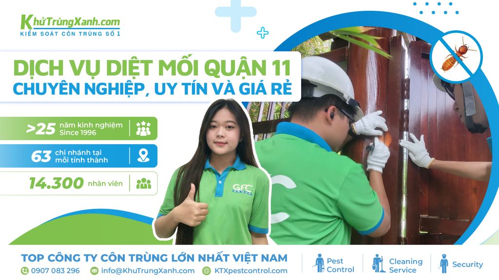 dịch vụ diệt mối quận 11