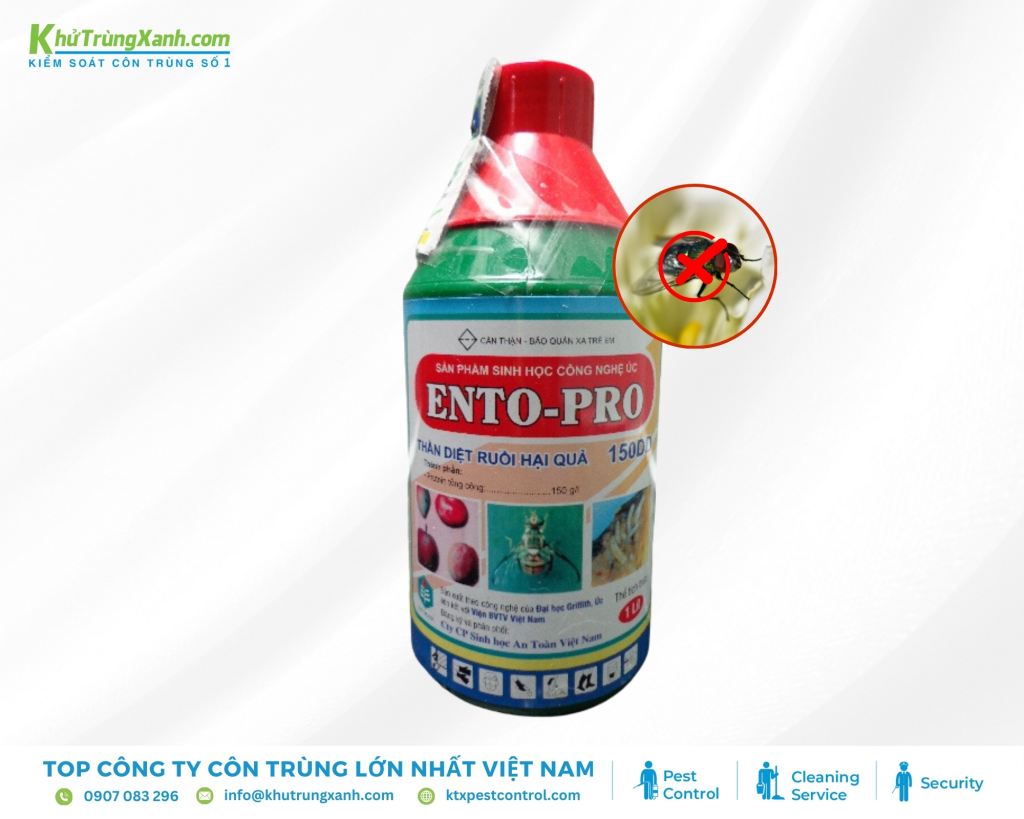 Ento-Pro chứa các thành phần có mùi hương đặc biệt, giống như mùi của quả chín, thu hút ruồi vàng đến