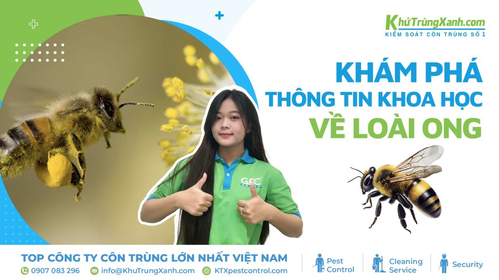 thông tin khoa học về loài ong