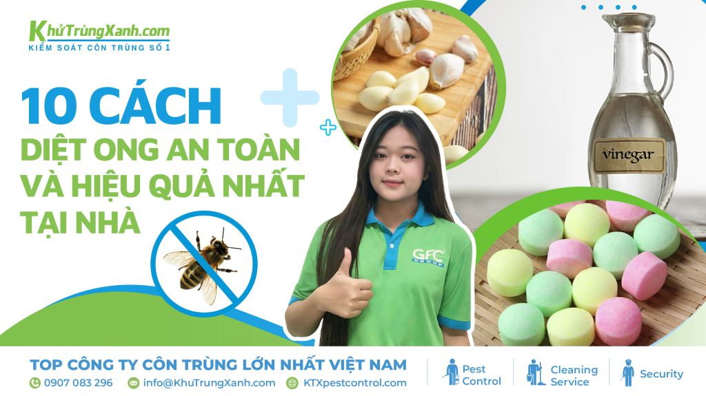 Cách diệt ong, đuổi ong ra khỏi nhà