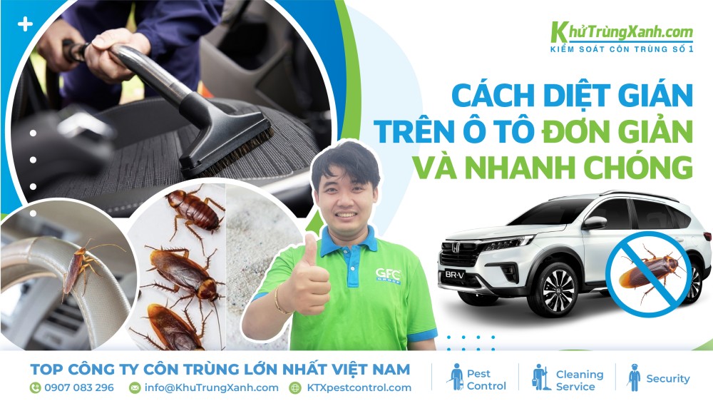 diệt gián trên ô tô