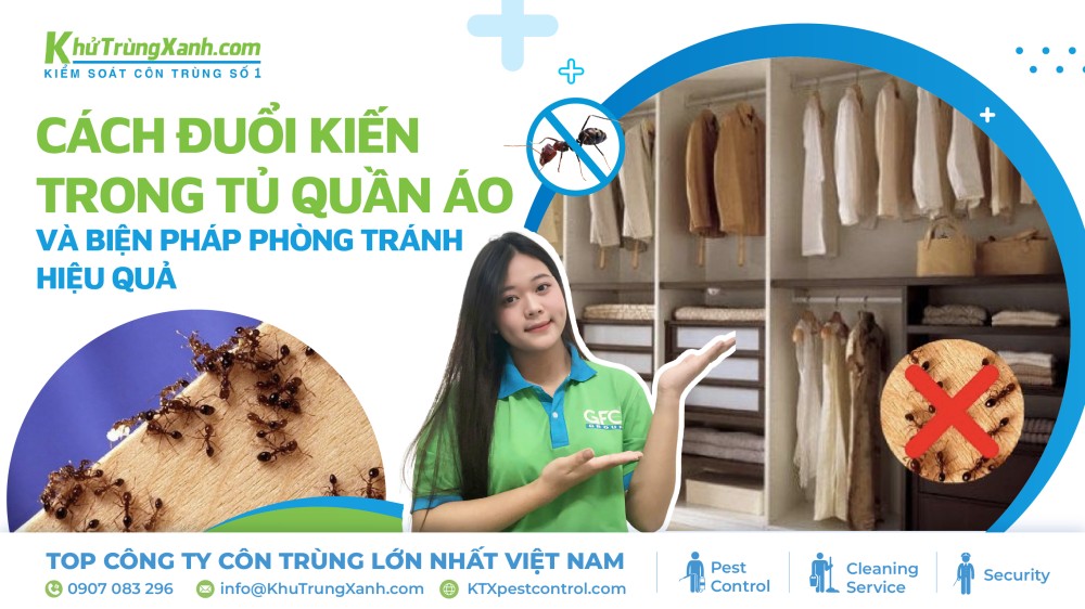 đuổi kiến trong tủ quần áo