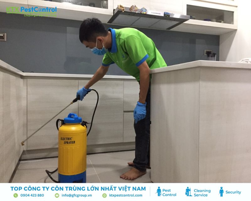 pha thuốc trị mối đục tường nhà