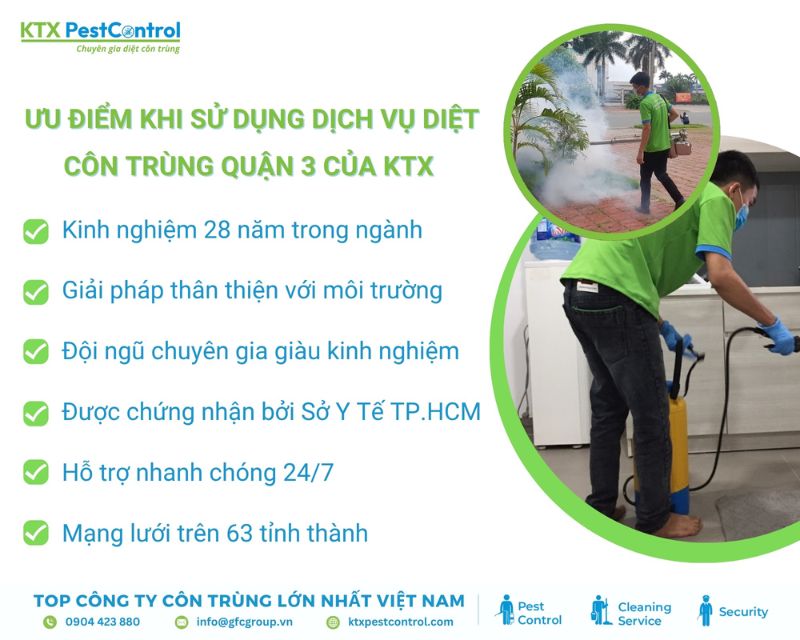 5 ưu điểm nổi bật khi lựa chọn dịch vụ diệt côn trùng Quận 3 của KTX