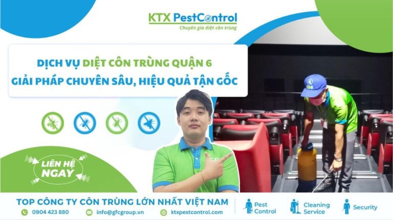 Dịch vụ diệt côn trùng Quận 6 – Giải pháp chuyên sâu, hiệu quả tận gốc 