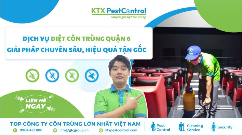 dịch vụ diệt côn trùng quận 6 giá rẻ