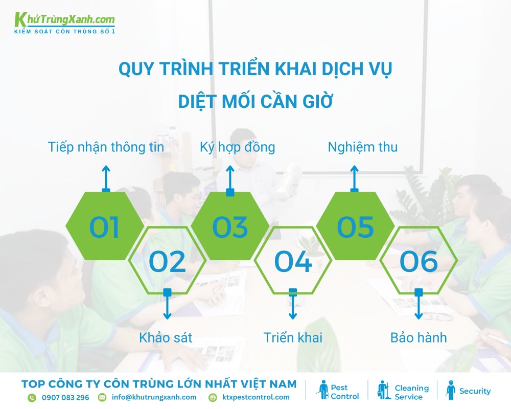 Diệt côn trùng KTX giới thiệu quy trình triển khai dịch vụ diệt mối tại Cần Giờ 